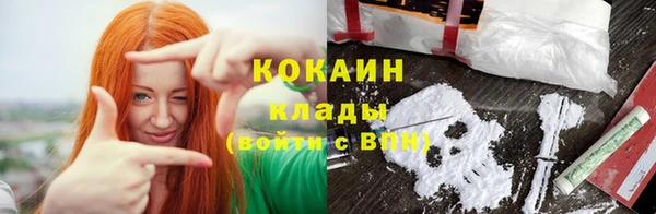 тгк Арсеньев
