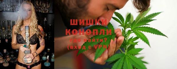 тгк Арсеньев