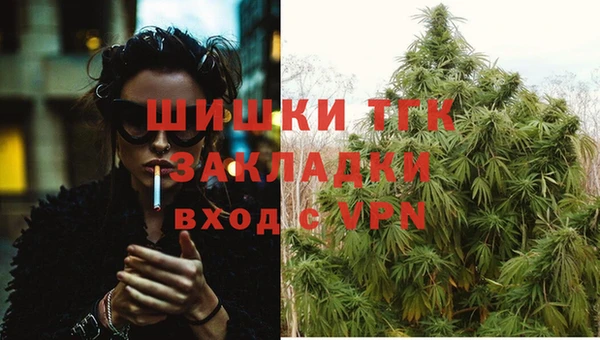 тгк Арсеньев