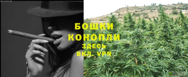 крисы Касимов