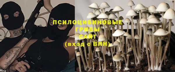 тгк Арсеньев
