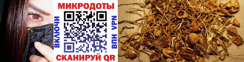Галлюциногенные грибы Cubensis  Спасск-Дальний 