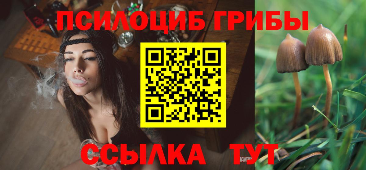 магазин  наркотиков  Вход с VPN  Спасск-Дальний  Псилоцибиновые грибы Psilocybe 